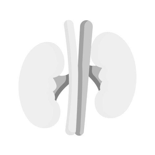 Kidney Test